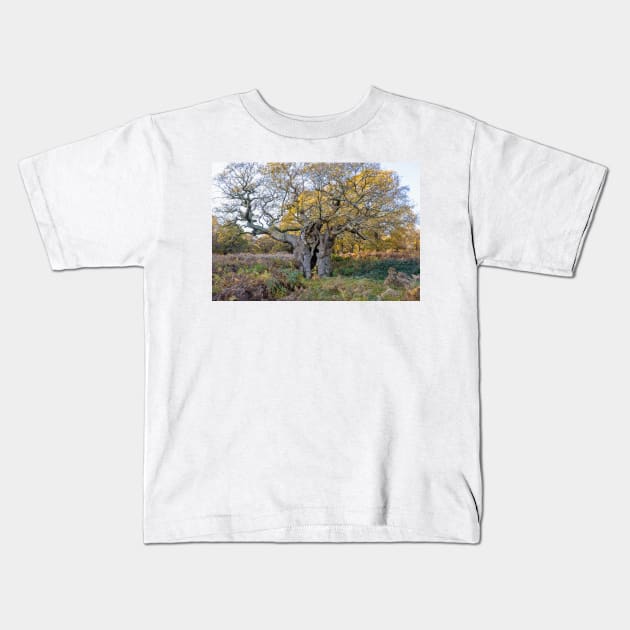 Royal Oak, Richmond Park Kids T-Shirt by GrahamPrentice